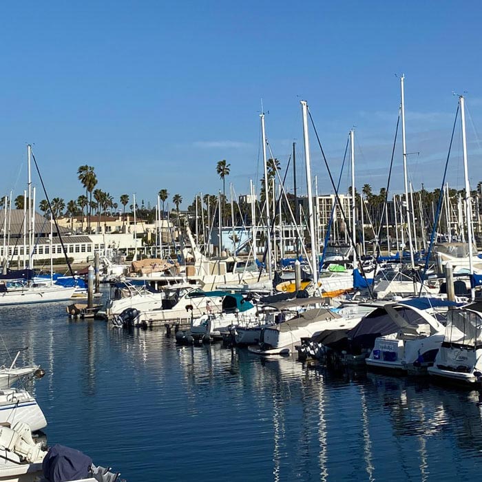 yachts at marina